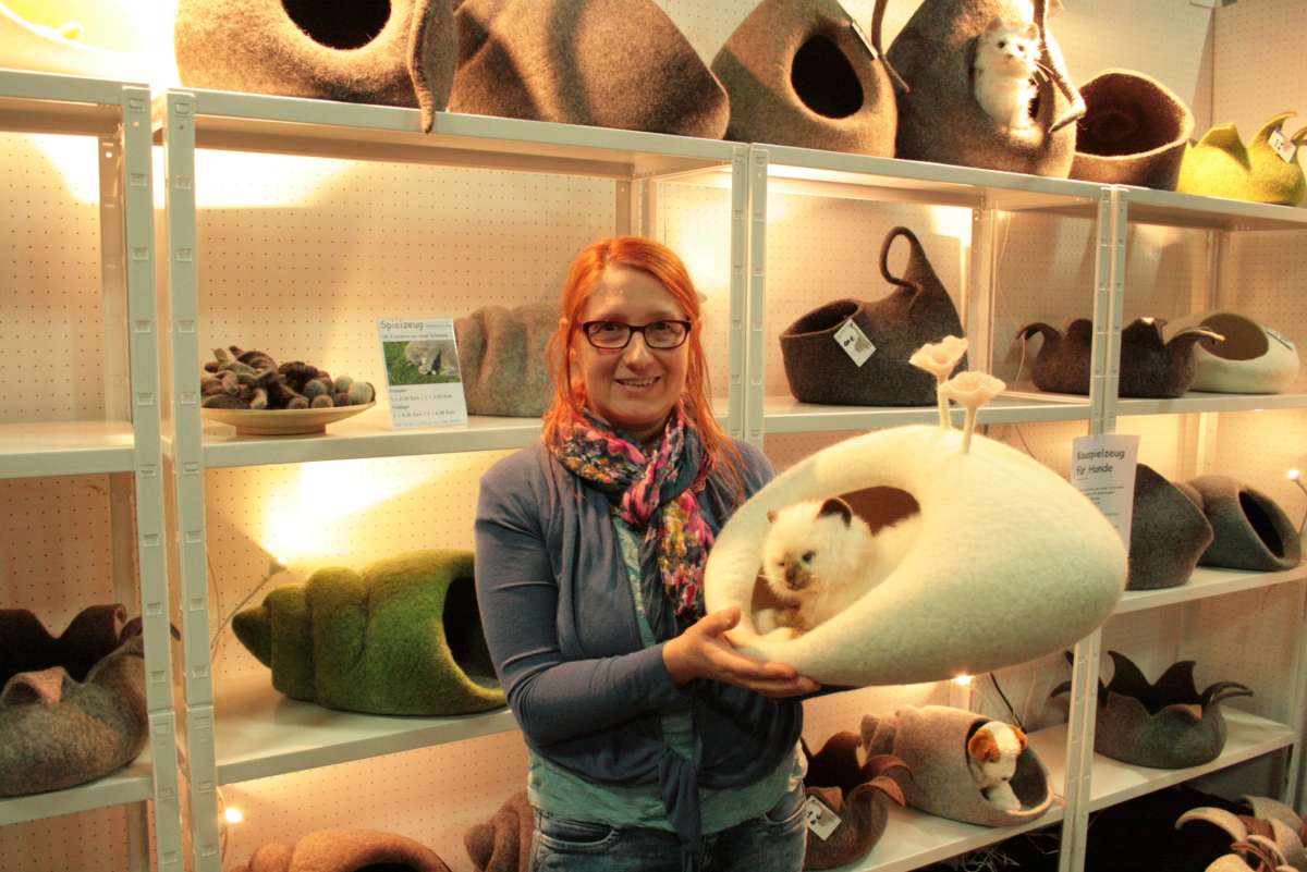 4. hundundkatze Niederrhein 2019-